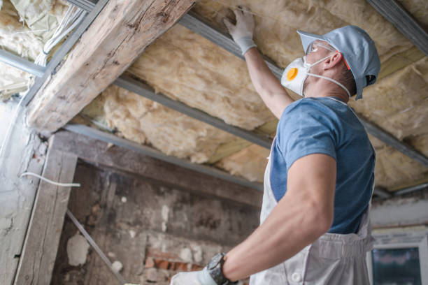Best Insulation Installation Services in Rancho Viejo, TX